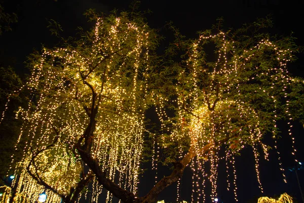 Blurred image Decorative outdoor string lights hanging on tree