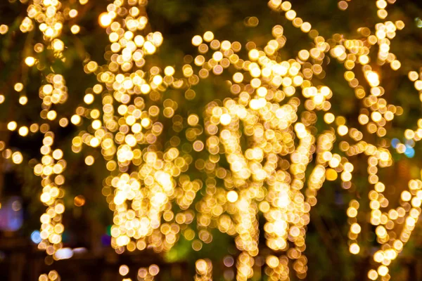 Θολή εικόνα διακοσμητικά εξωτερικά φώτα string κρέμονται στο δέντρο — Φωτογραφία Αρχείου
