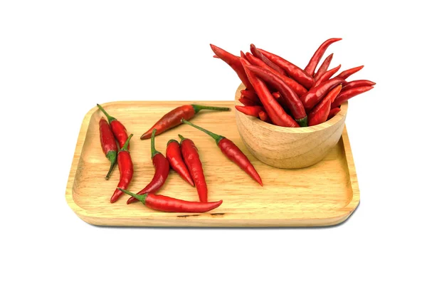 Chili - Las plantas de pimienta a la naturaleza — Foto de Stock