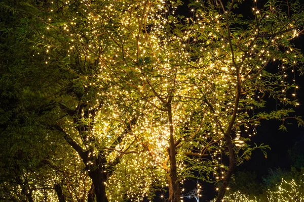 Luzes decorativas corda ao ar livre pendurado na árvore no jardim um — Fotografia de Stock