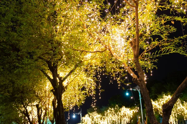 Luzes decorativas corda ao ar livre pendurado na árvore no jardim um — Fotografia de Stock