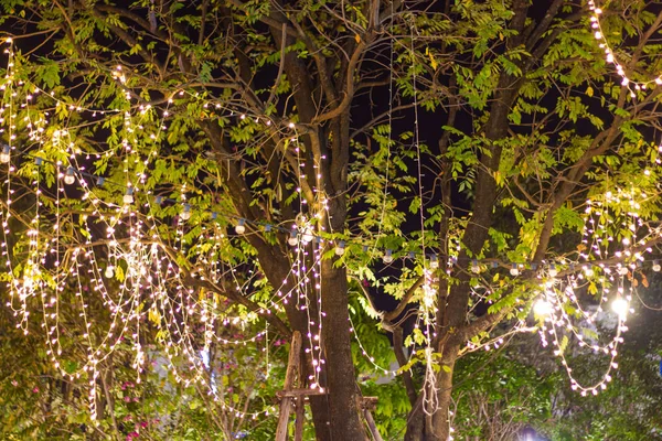 Decorative outdoor string lights hanging on tree in the garden a