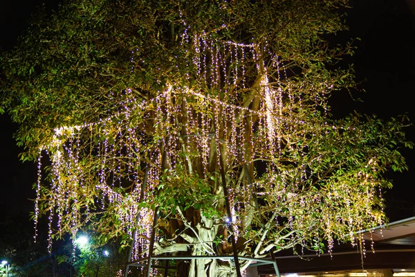 Luzes decorativas de corda ao ar livre penduradas na árvore no jardim na temporada de festivais noturnos — Fotografia de Stock