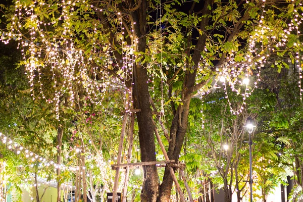 Decorative outdoor string lights hanging on tree in the garden at night time festivals season