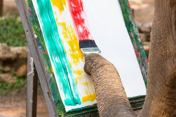 Elephant painting in picture elephant, At The Thai Elephant Conservation Center (TECC), Mahouts show