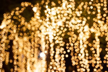 Blur-bokeh dekoratif açık dize ışıklar ağaca asılı 