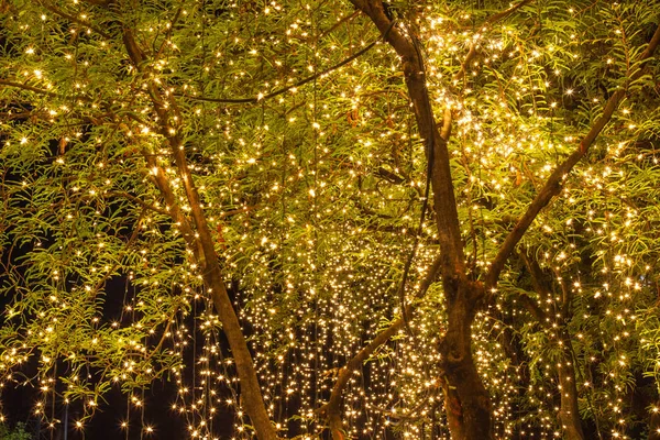 Decoratieve buitenverlichting hangend aan boom in de tuin — Stockfoto