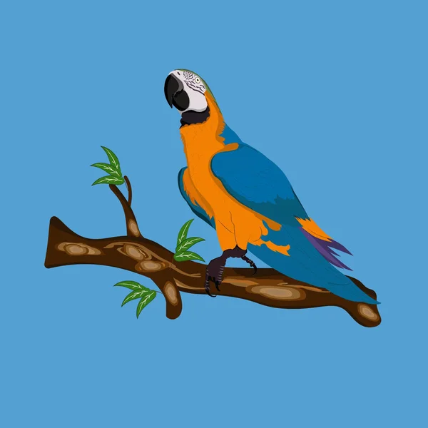 枝に立つ鳥の青と黄色のマカオベクトルイラストは青い背景を隔離 — ストックベクタ