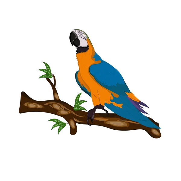 Pájaro Guacamayo Azul Amarillo Pie Ramas Vector Ilustración Aislar Fondo — Vector de stock