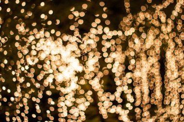 Blur-bokeh dekoratif açık dize ışıklar ağaca asılı 