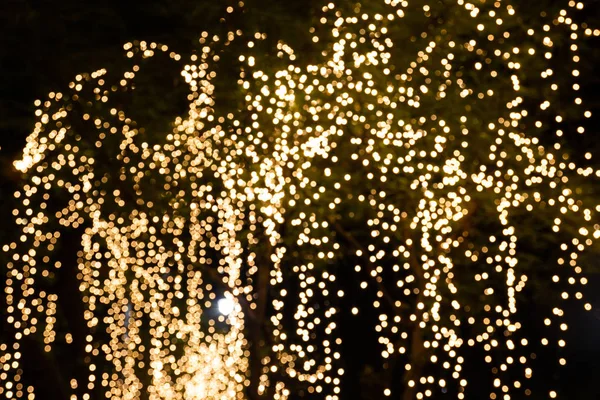Blur - bokeh Decorative outdoor string lights hanging on tree