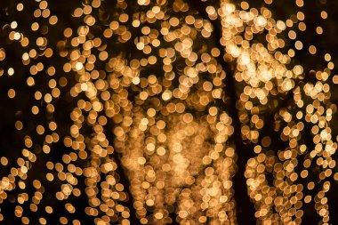 Blur-bokeh dekoratif açık dize ışıklar ağaca asılı 