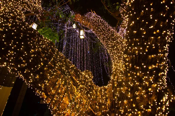 Decorative outdoor string lights hanging on tree in the garden