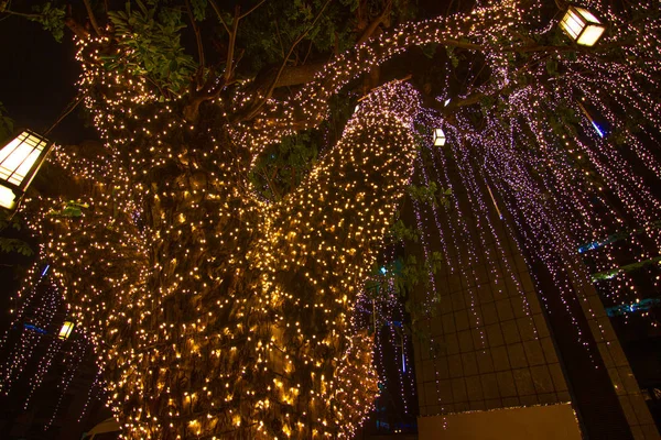 Luzes decorativas de corda ao ar livre penduradas na árvore no jardim — Fotografia de Stock