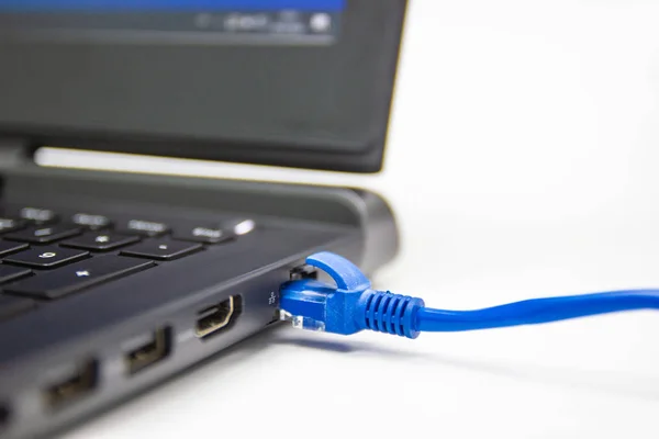 blue cable network connection to a Lan port of laptop computer