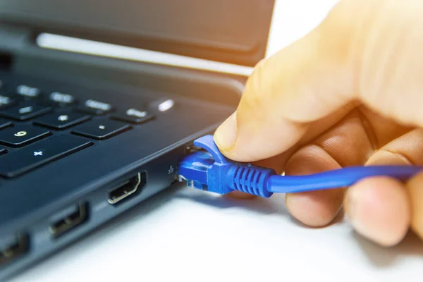 blue cable network connection to a Lan port of laptop computer