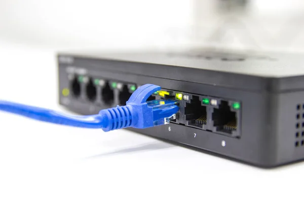 Kabel biru kabel kabel yang terhubung ke port switch — Stok Foto