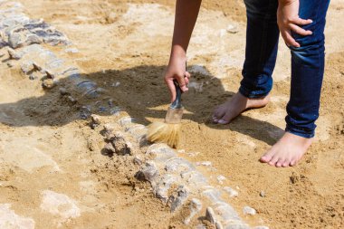 Çocuklar hakkında öğrenme, dinozor fosilleri simülasyon kazma 