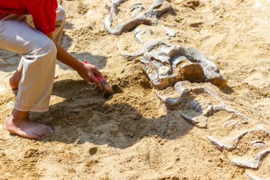 Çocuklar hakkında öğrenme, dinozor fosilleri simülasyon kazma 