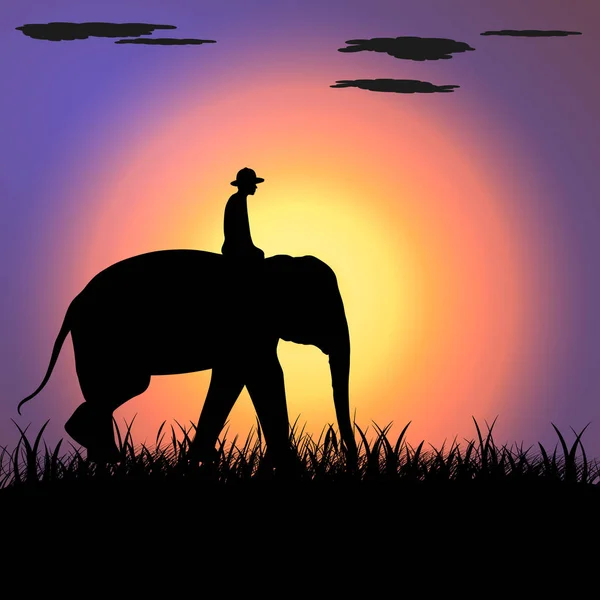 Elefante Ásia Andando Gráficos Disign Vetor Ilustração Luz Silhueta Fundo —  Vetores de Stock