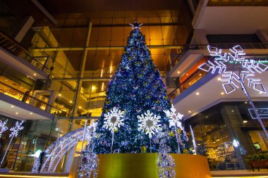 Merry - Xmas  - Christmas tree in the garden at  Department 
