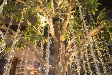 Önemli bir festivale göre, gece bahçedeki ağaçta ipe bağlı ışıklar güzellik için süslemede kullanılıyormuş.