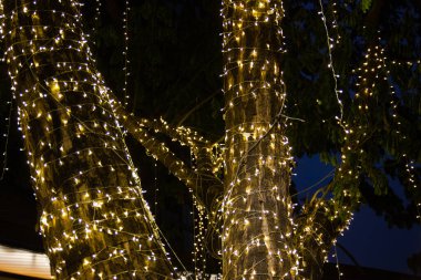 Önemli bir festivale göre, gece bahçedeki ağaçta ipe bağlı ışıklar güzellik için süslemede kullanılıyormuş.