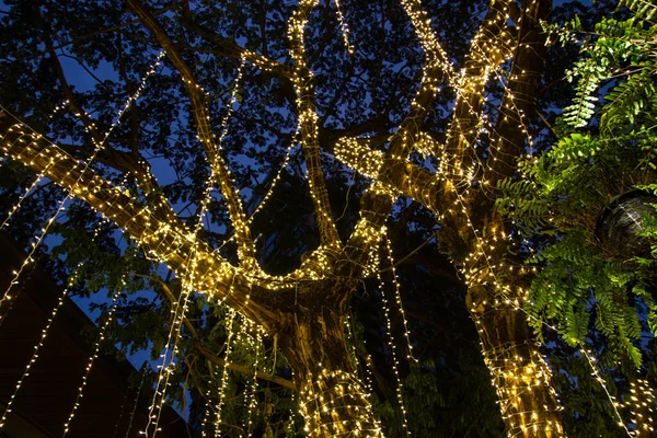 Cavo Stringa Led Luci Albero Giardino Notte Utilizzato Decorazione Bellezza — Foto Stock
