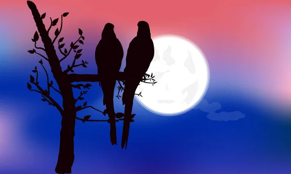 Dois Bird Silhouette Macaw Ramo Com Fundo Lua Uma Noite — Vetor de Stock