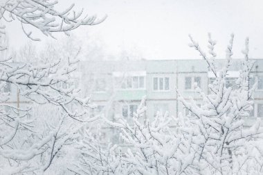 29 Kasım 2018 Voronej Rusya. Ağaç dalları kış gününde taze karla kaplı. Panel yüksek doğmak evi. Tipik Rus konut.