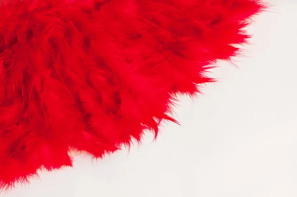 Beautiful Red Feathers White Background Corner — Stock Photo, Image