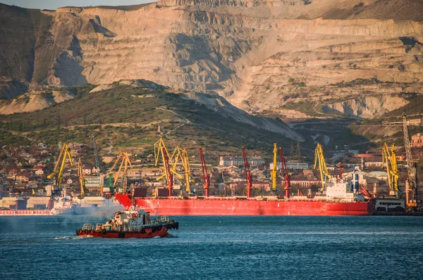 Novorossiysk Ticari Deniz Limanı'nda büyük kırmızı kargo gemisi