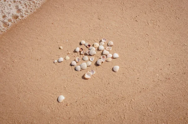 Pilha de conchas em uma areia vermelha do mar de Azove — Fotografia de Stock
