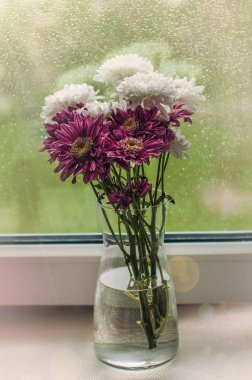 Yağmurlu yaz gününde bir pencerede beyaz ve mor chrysantemum çiçek buketi