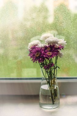 Yağmurlu yaz gününde bir pencerede beyaz ve mor chrysantemum çiçek buketi