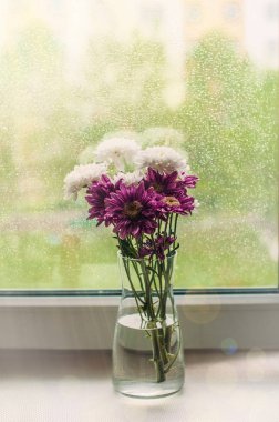 Yağmurlu yaz gününde bir pencerede beyaz ve mor chrysantemum çiçek buketi