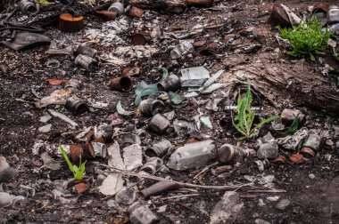 Yeşil ot ile toprakta yanmış çöp o throuh büyüyor