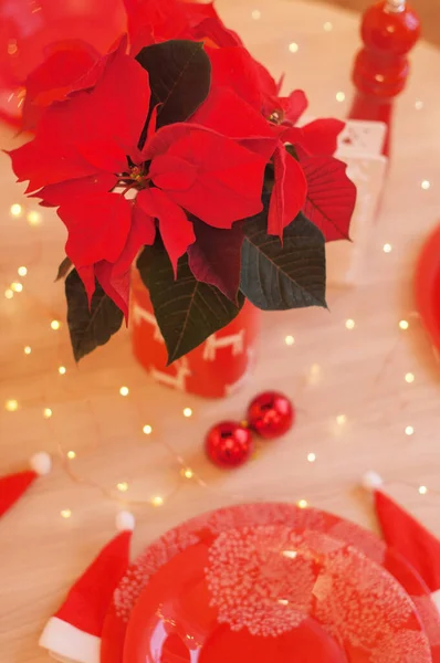 Bouquet rosso di poinsettia su un tavolo da pranzo con luci natalizie dietro . — Foto Stock