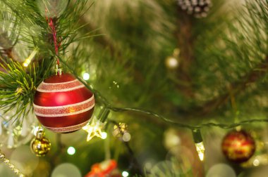 Beyaz çizgili kırmızı noel topu Noel ağacında asılı.