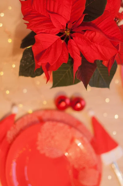 Red bouquet of poinsettia on a dining table with holiday lights behind. — Stock Fotó