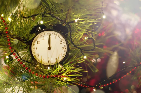 Ano Novo despertador deitado em ramos de árvore de Natal. Meia-noite. Fundo de Chritmas festivo — Fotografia de Stock