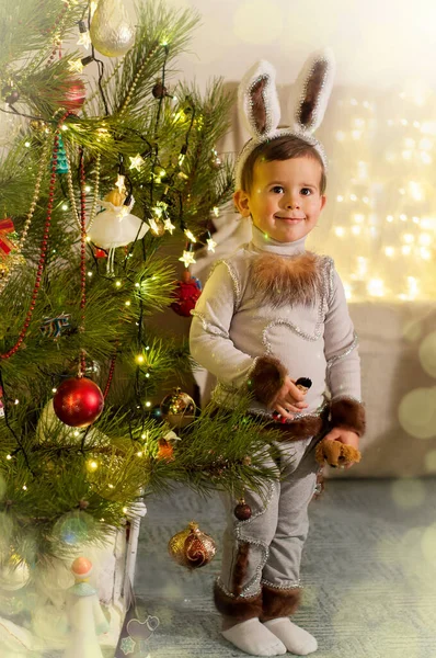 Bello 2 anno vecchio ragazzo indossare natale coniglio costume — Foto Stock