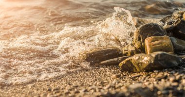 Gün batımında deniz sörfü. Karadeniz kıyısı. Deniz dalgalarıyla yıkanmış çakıl taşı. Seçici odak.