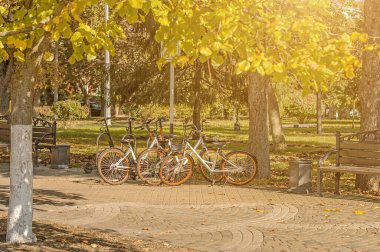 Şehir bisikletleri sonbahar kasabasının caddesine park ediyor..