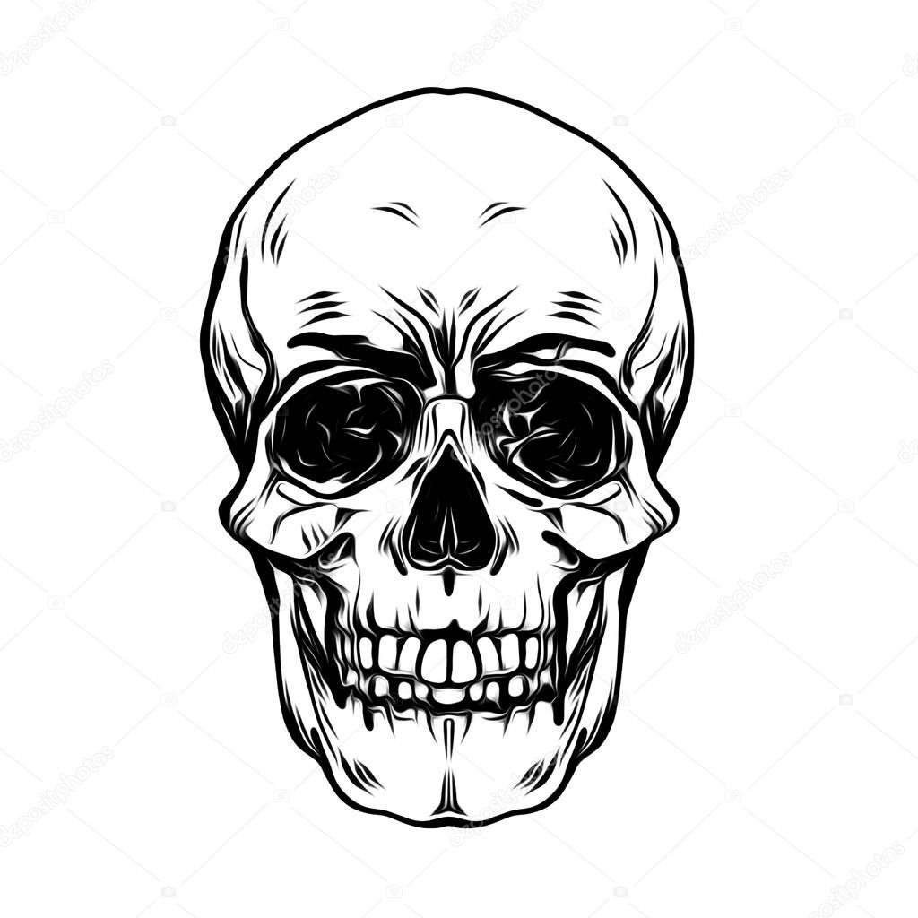 Evil skull illustration art