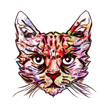 Kedi baş renkli resimde beyaz arka plan üzerinde