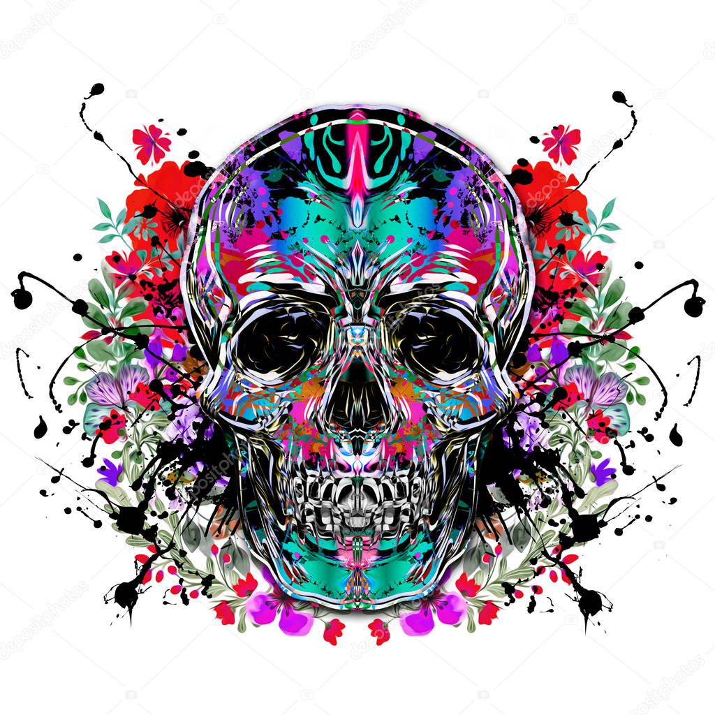 Colored skull isolated on white background