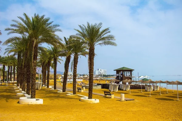 Pintoresca Vista Playa Arena Con Sombrillas Verano Palmeras Costa Día —  Fotos de Stock