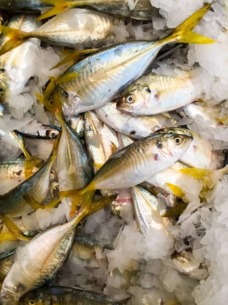 Haufen Frischer Fangfische Nahsicht — Stockfoto