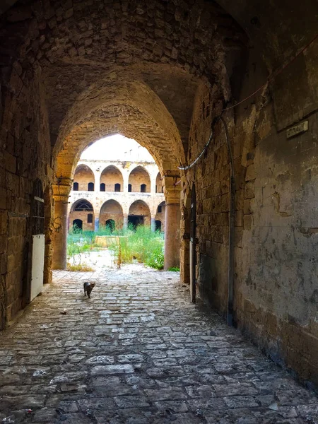 Mysig Gård Acre Israel — Stockfoto